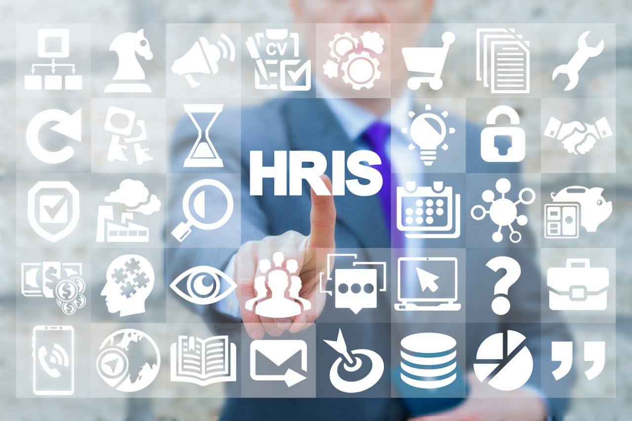 Cost-Effective HRIS Solutions for Growing Businesses