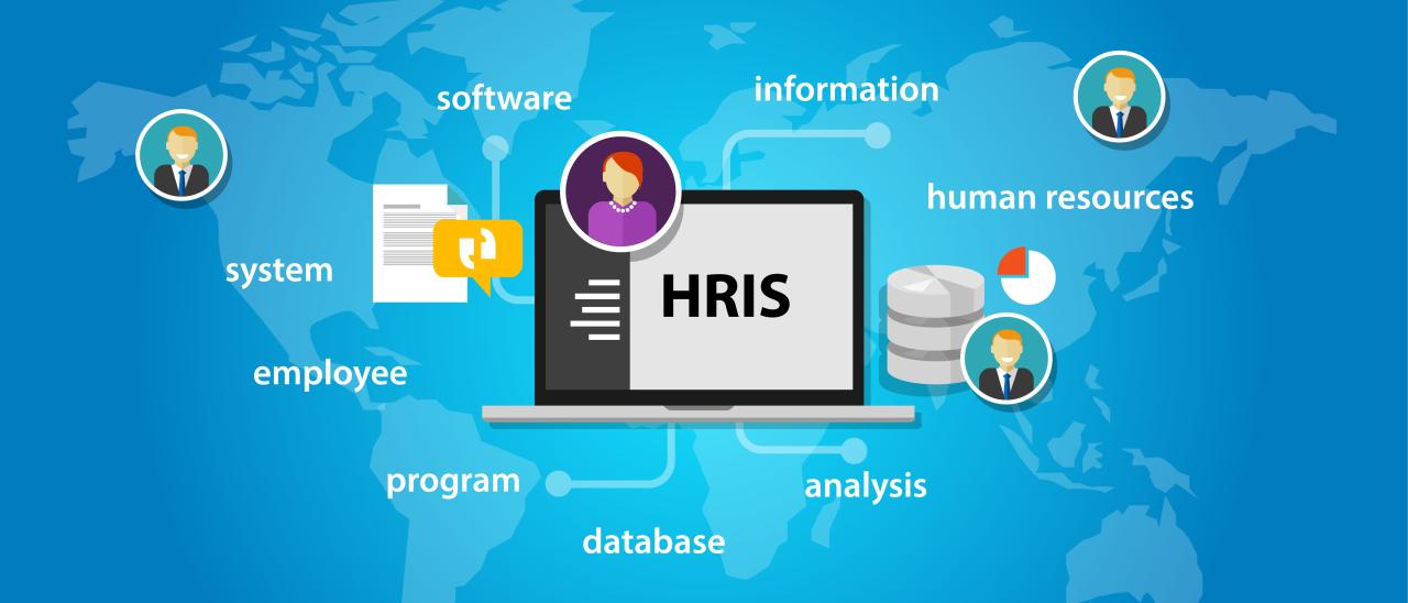 Top HRIS Systems for Large Enterprises